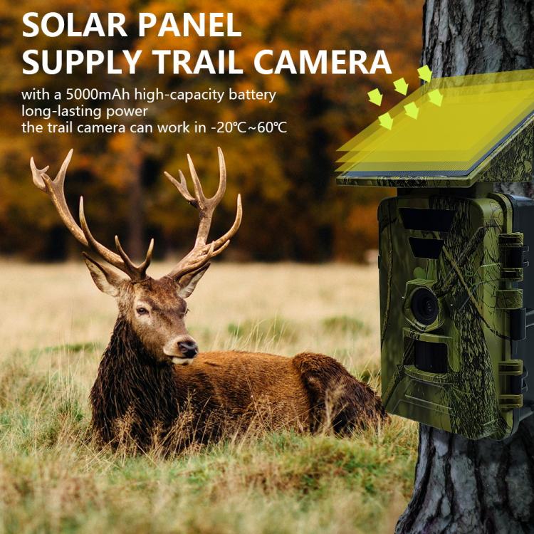 PR903W WiFi Version 8K HD Night Vision Infrared Hunting Camera, PR903W